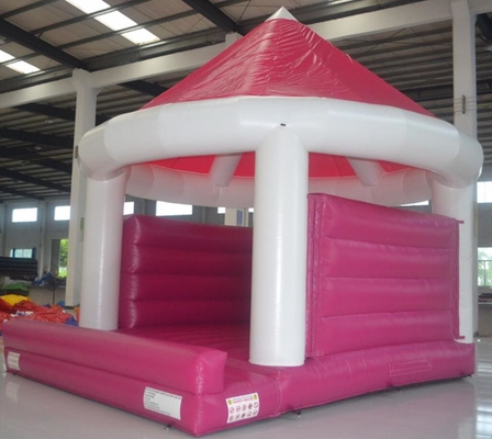Jonge geitjesclown Inflatable Bouncy Castle dat Combo-het Bewijs van het Parkwater springt