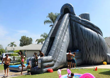 Reuze Opblaasbare Dia 33ft de Hoge Dia Inflatables van het Orkaanwater voor Volwassenen