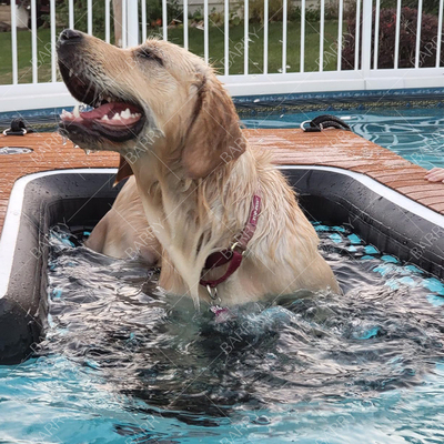 Drop Stitch Stof Eva maat en luchtpomp accessoire opvouwbare opblaasbare honden waterbalk voor dok jacht