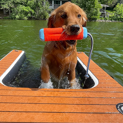 Logo aangepast aanvaard vouwbare opblaasbare hondenladder zwembad voor trunkhonden met reparatiesets accessoire