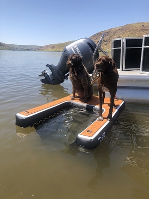 Draagbare verstelbare opvouwbare hondenbalk opblaasbare hondenbalk trap huisdieren hondenbalk voor zwembaden, meren, boten en dokken