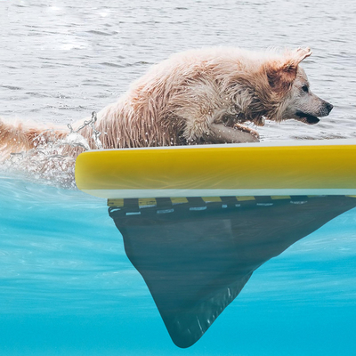 Extra grote opblaasbare waterbalk voor boot,hondenbad opblaasbare lichte hondenbalk zachte ladder voor honden, Rung platform