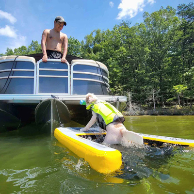 Extra grote opblaasbare waterbalk voor boot,hondenbad opblaasbare lichte hondenbalk zachte ladder voor honden, Rung platform