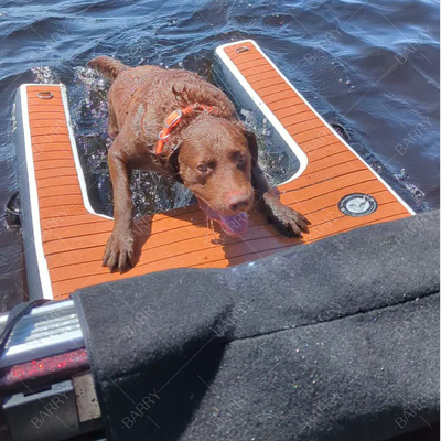 Opblaasbare boot hondenladder klimbalk platform opblaasbare waterbalk voor hond