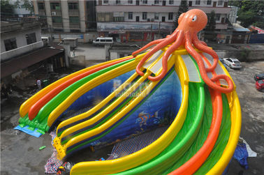 Aangepaste het Waterdia van de Zwembadoctopus, Reuzewaterdia voor Zwembad