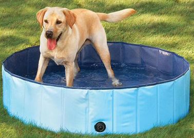 Hond Paddelende Pool