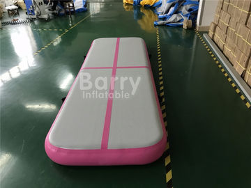 3x1x0.2m tuimelt de Roze Minilucht de Gymnastiekmat van het Luchtspoor voor van Sumo het Worstelen of van Traning Praktijk
