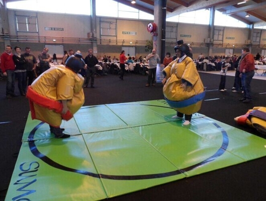 Het Worstelen van geteerd zeildoek de Opblaasbare Sumo Spelen van de Kostuums Interactieve Sport