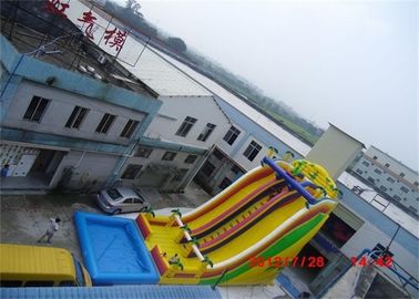 Verbazende Opblaasbare Waterdia, Grootste Industriële Opblaasbare Waterdia van China