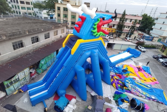 Het Pretpark Super Dia van Dragon Inflatable Water Slides Adult