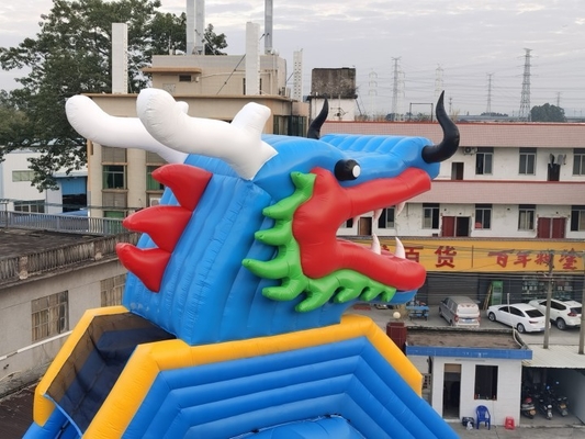 Het Pretpark Super Dia van Dragon Inflatable Water Slides Adult