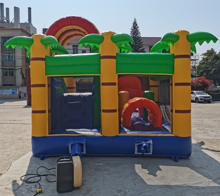Pvc Opblaasbaar Dierlijk Lion Jumping Castle For Kids 5mLX5mWX4mH