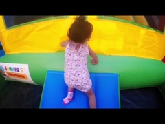 Custom Indoor Outdoor Kids Jumping Castle Bouncy Castle te koop