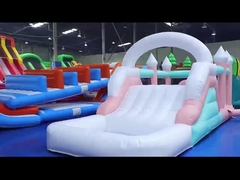 Opblaasbare bruiloft uitsmijter glijbaan Combo Jumping Castle Glijbaan