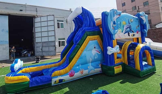 Op maat gemaakt dolfijn springhuis met glijbaan onderwaterwereld thema spring kasteel voor kinderen