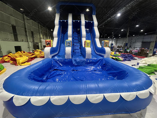 Pretpark Buitentuin Grote Kinderen Opblaasbare Dubbele Waterglijbanen Voor Tieners Achtertuin