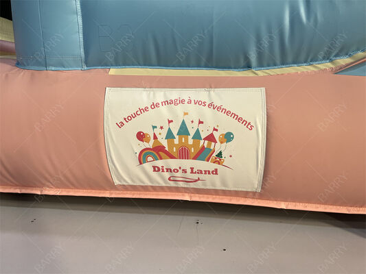 Roze en Blauwe Prinses Pastel Kasteel Opblaasbaar Bounce Huis Met Glijbaan