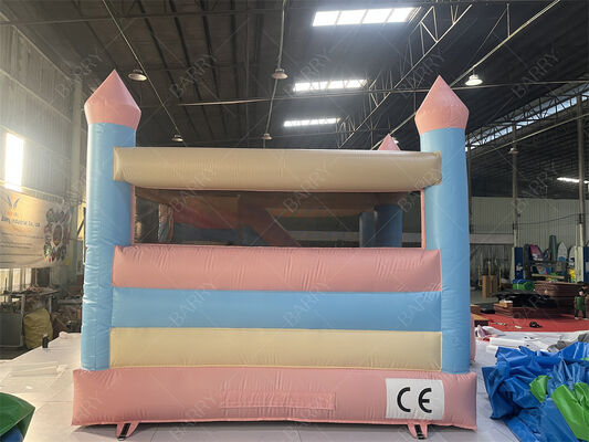 Roze en Blauwe Prinses Pastel Kasteel Opblaasbaar Bounce Huis Met Glijbaan