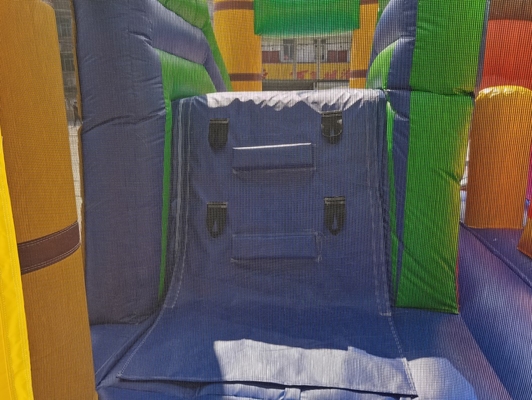 Pvc Opblaasbaar Dierlijk Lion Jumping Castle For Kids 5mLX5mWX4mH