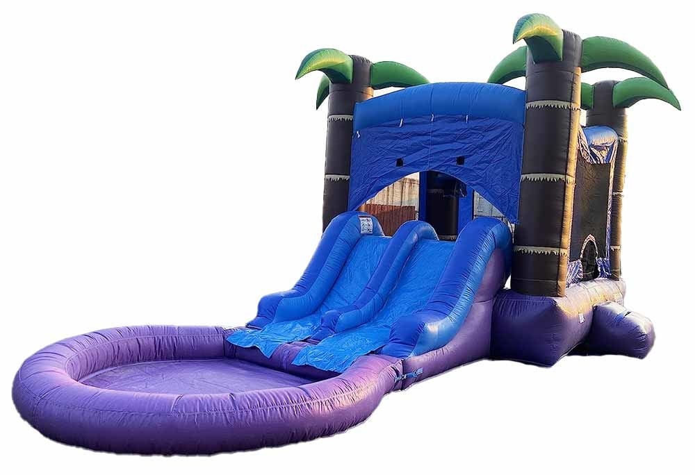 Gepersonaliseerde combo uitsmijter met 2 glijbanen en zwembad nat of droog springkasteel met water glijbaan