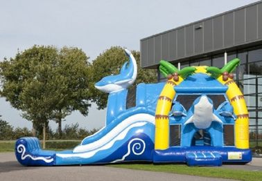 2 in Kastelen van 1 Dolfijn de Grote Bouncy Opblaasbaar met Wacky Dubbele Dia voor Amucement