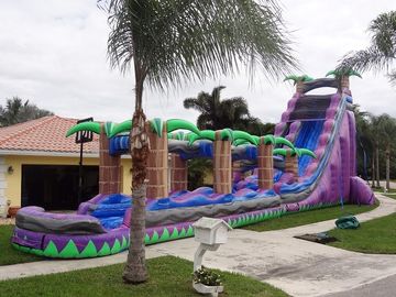 De purpere Dia's van het Paradijs Opblaasbare Water met Pool/Volwassen Opblaasbare Natte Dia