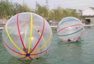 Speelgoed van het Comercial het Grote Opblaasbare Water, Opblaasbare Water Kleurrijke het Lopen Bal voor Volwassene