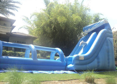 21FT lange Openlucht Opblaasbare Dia en 32ft Lange Misstapn Opblaasbare Dia/Golf met Pool