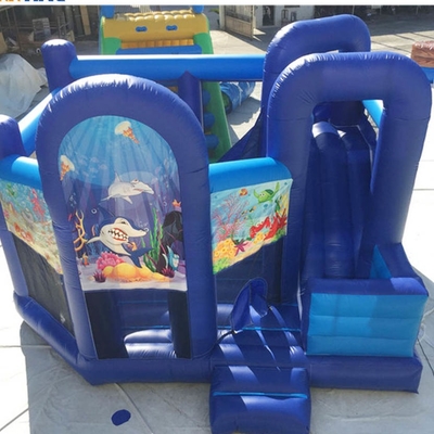 EN71 Dia van Bounce House With van de binnenplaats de Opblaasbare Prinses