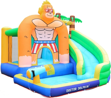 De Dia van artsendolphin inflatable water voor de Spronghuis van het Peuterwater met Plonspool