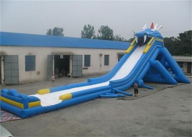 Openlucht Volwassen Reuze Opblaasbare Waterdia, Massieve Opblaasbare Dia voor Pretpark