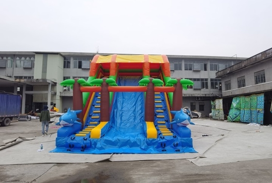 0.55mm van het de Palmwater van pvc Commerciële Opblaasbare de Diaen14960 Norm
