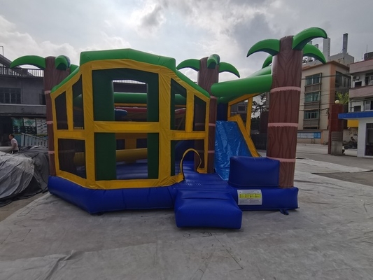 De kleurrijke Plato-van het de Sprongkasteel van pvc Opblaasbare Dia Combo