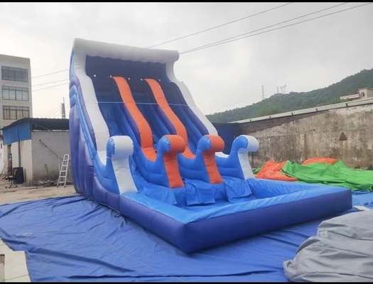 De Diaslag van het Pretpark Opblaasbare Water - omhoog Bouncy-Dia