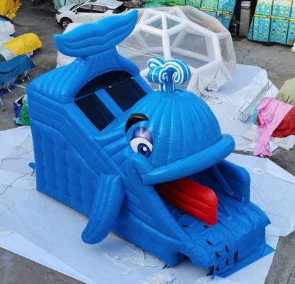 Commerciële Opblaasbare van het de Walvisontwerp van Waterdia's het Huisbinnenplaats